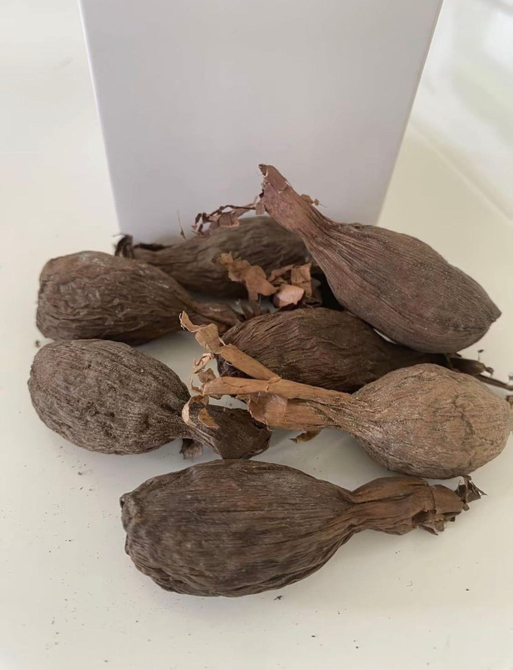 Piment de Guinée – Graines de paradis | Les Secrets d'Aya