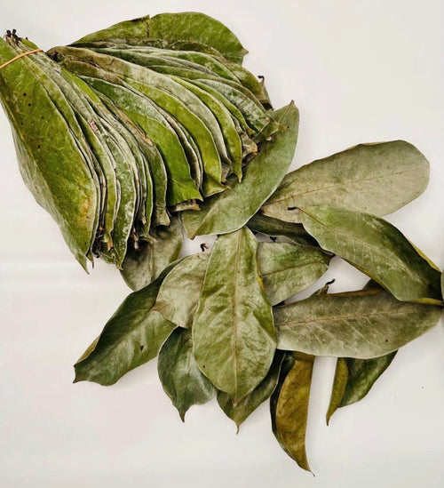 Feuilles de Corossolier séchées | Les Secrets d'Aya